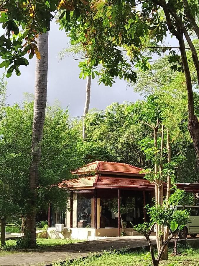 Jawa Jiwa G-Land Resort Dadapan 外观 照片