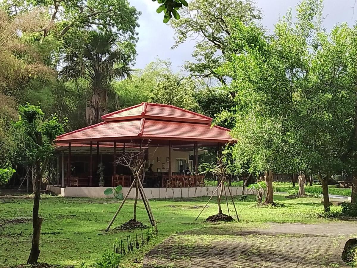 Jawa Jiwa G-Land Resort Dadapan 外观 照片