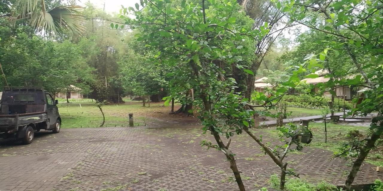 Jawa Jiwa G-Land Resort Dadapan 外观 照片